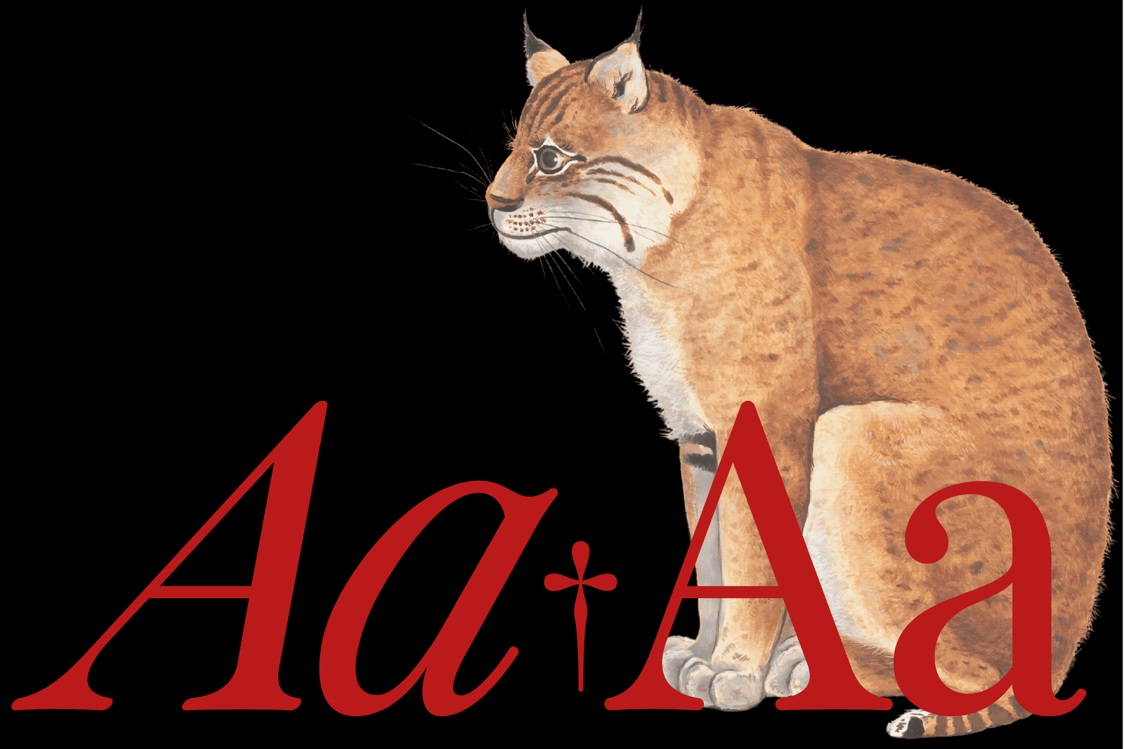 Otez Website Present-05