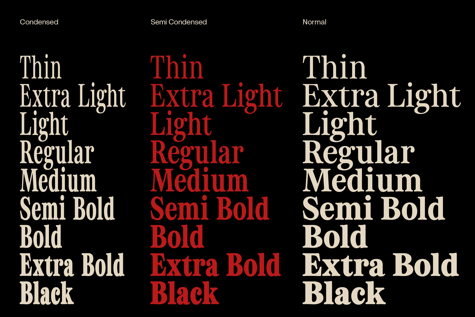 Otez Website Present-06