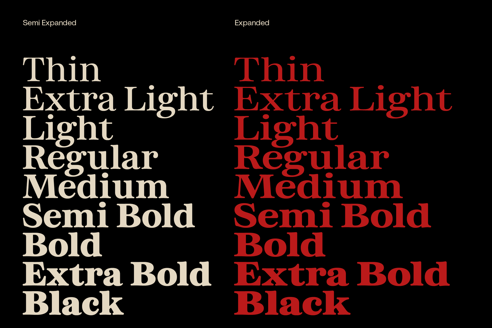 Otez Website Present-07