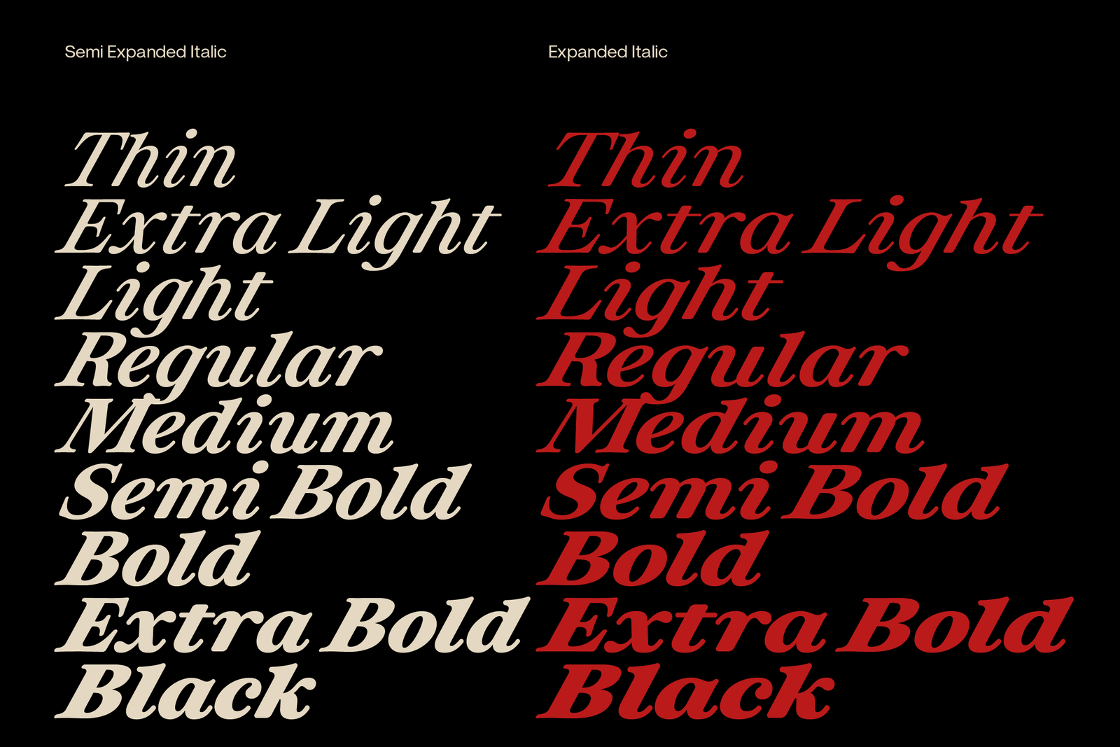 Otez Website Present-09