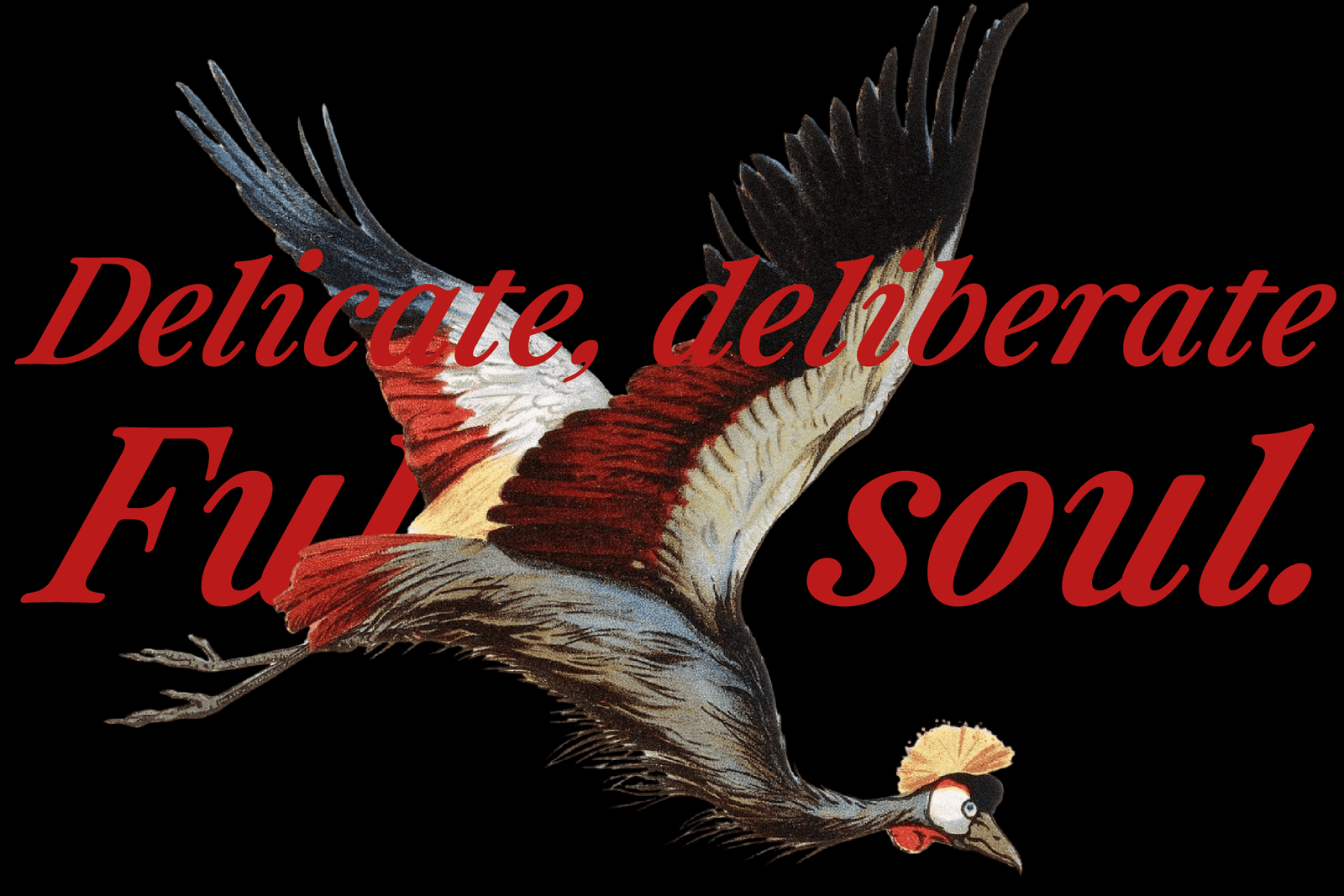 Otez Website Present-13