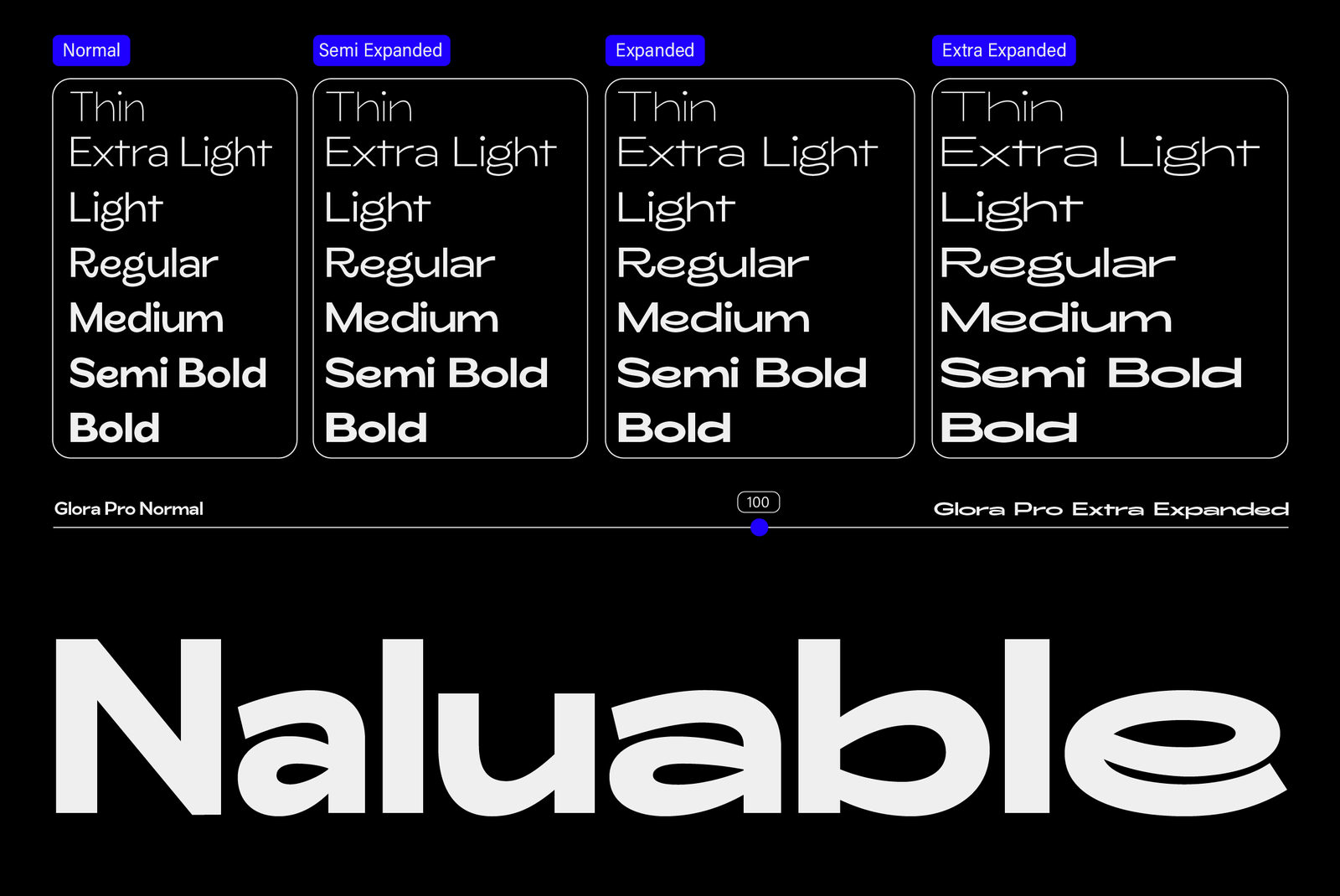 ZT Glora Pro Website-02