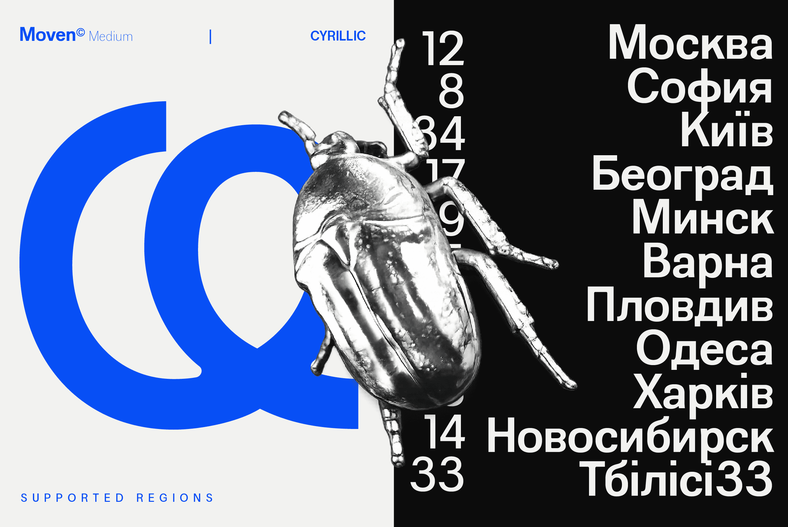 Website Present-06