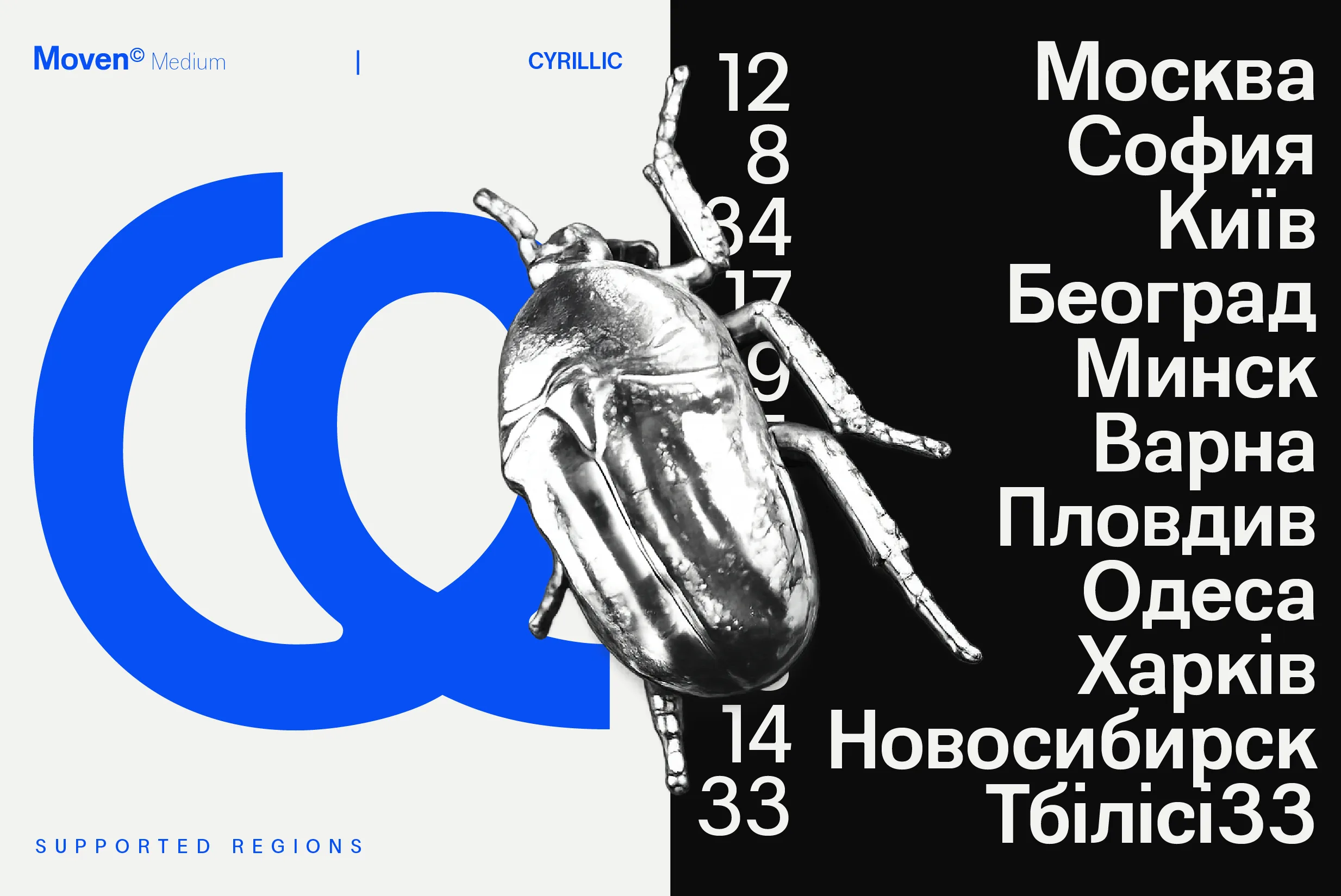 Website Present-06