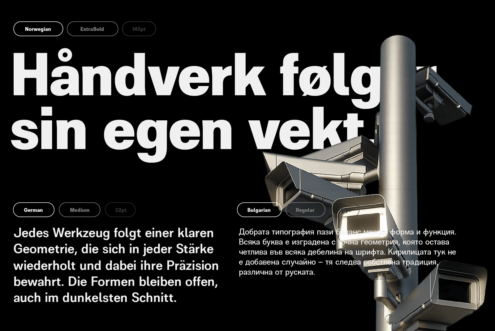 Website Present-13