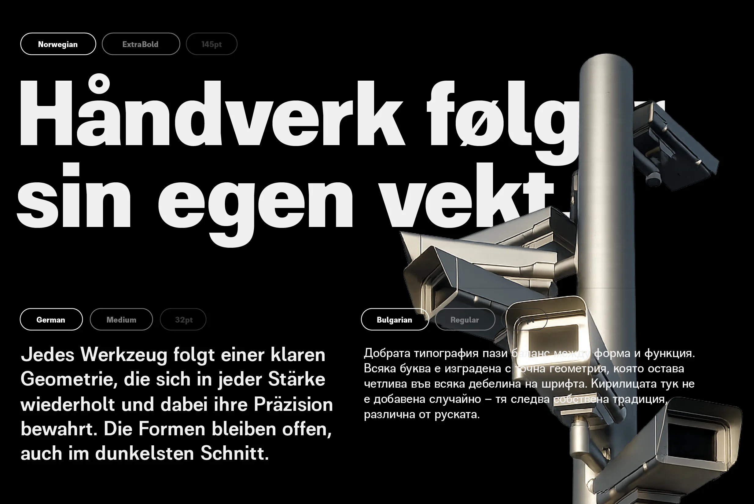 Website Present-13