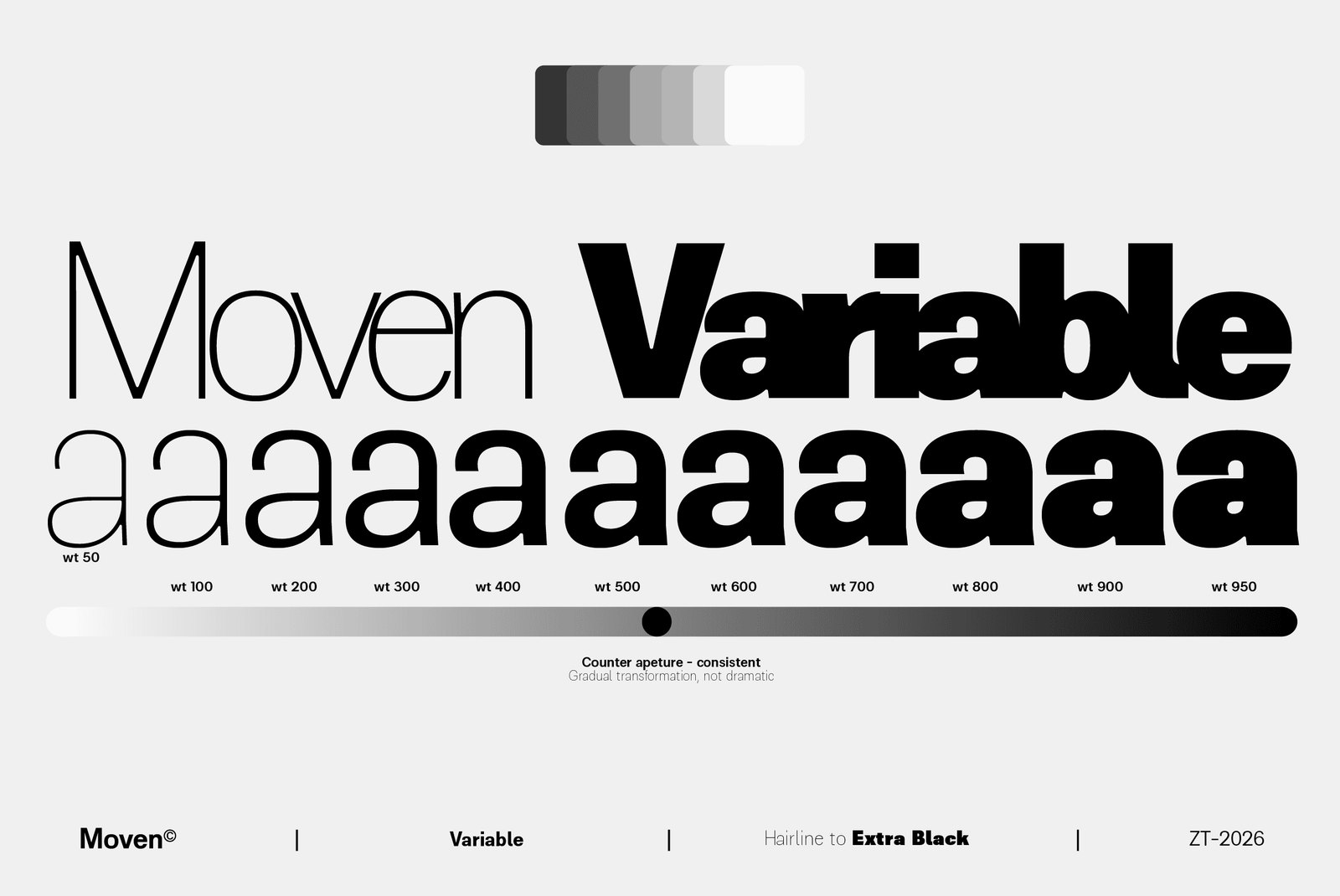 Website Present-14