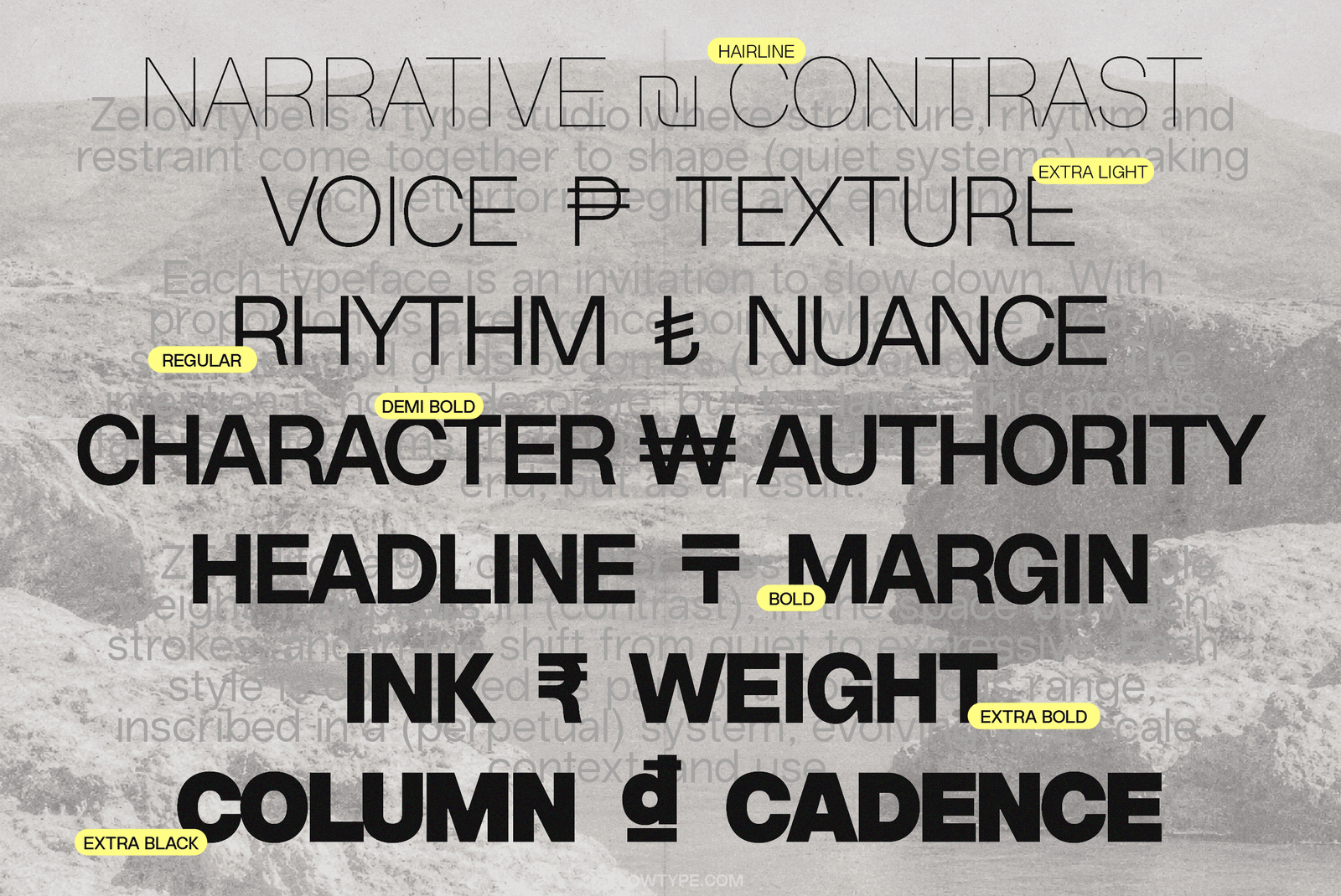 ZT Editorial90 Website-04